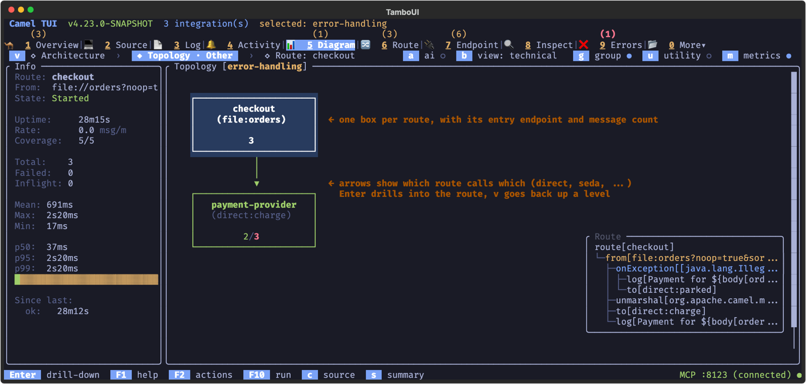 The topology of two routes: checkout calls payment-provider